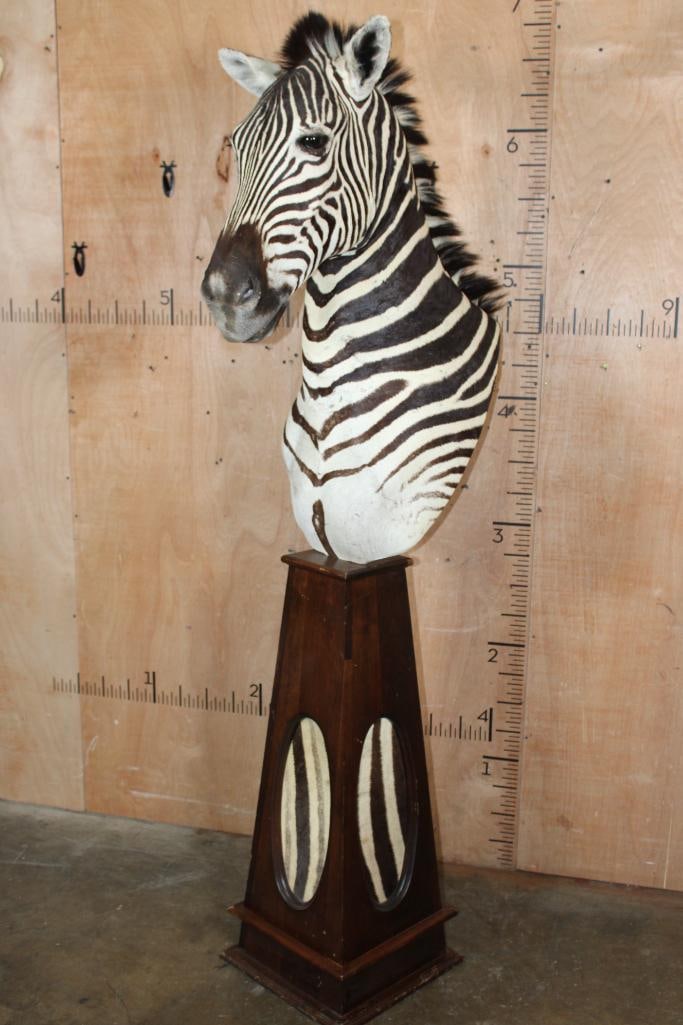 Big ZEBRA Pedestal Mount with ZEBRA Hide Panels (1 of 11)