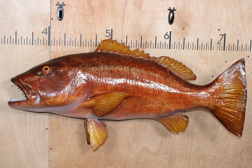 Big Reproduction CUBERA SNAPPER Fish Mount (1 of 6)