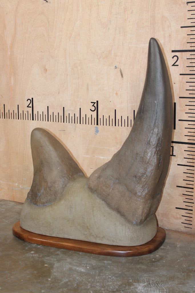 Set of Reproduction RHINOCEROS Horns on a Walnut Wood Base (1 of 5)
