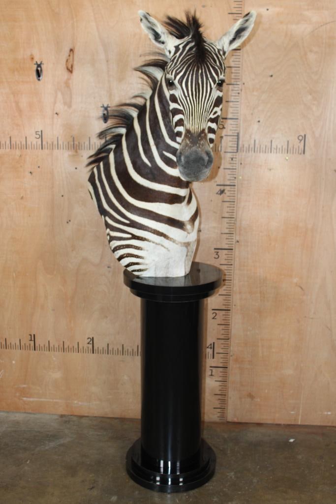 ZEBRA Pedestal Mount - 2