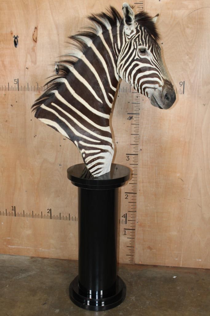 ZEBRA Pedestal Mount - 3