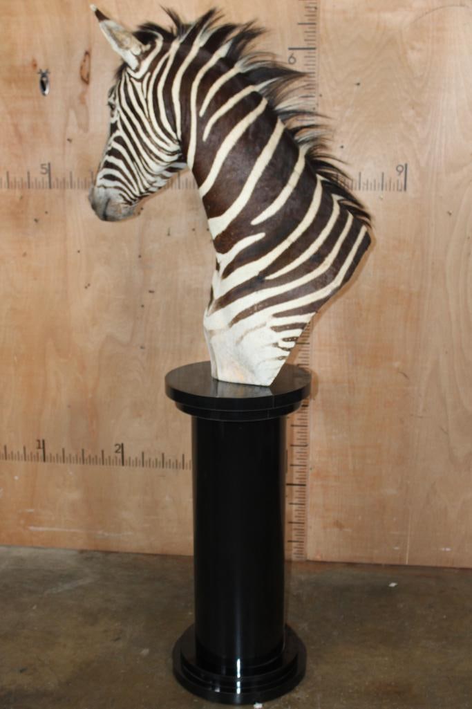 ZEBRA Pedestal Mount - 4
