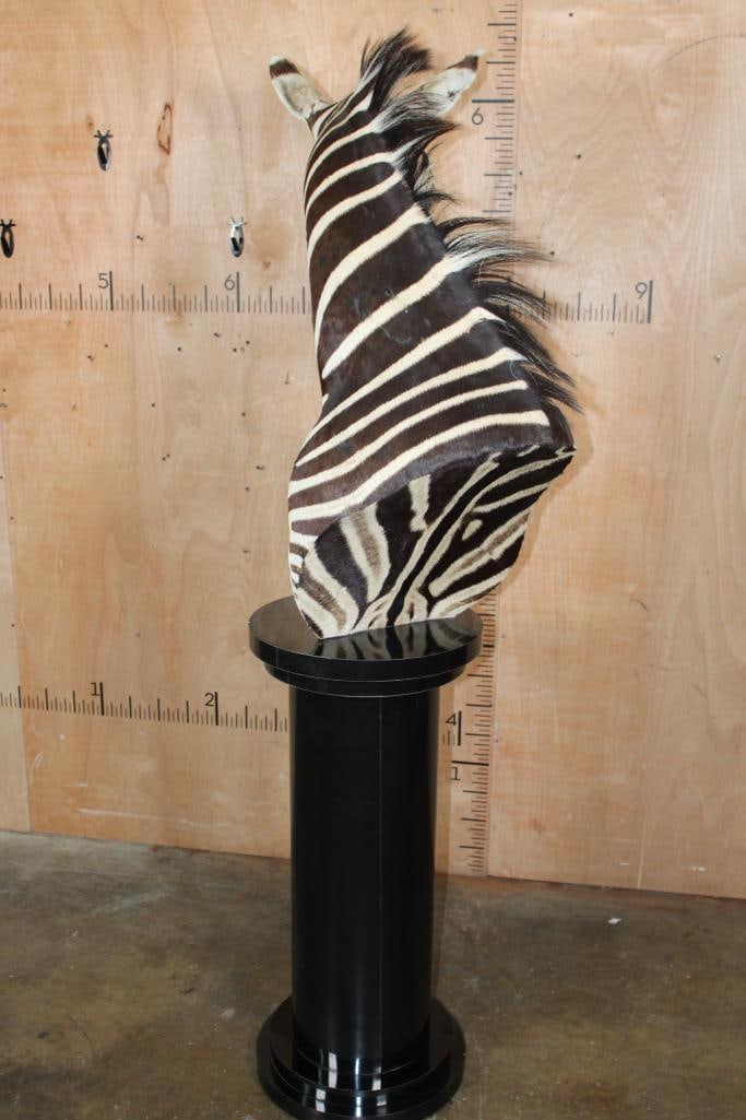 ZEBRA Pedestal Mount - 6
