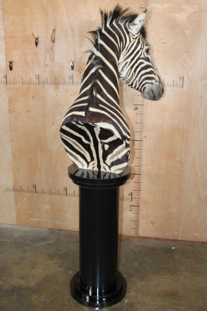 ZEBRA Pedestal Mount - 7