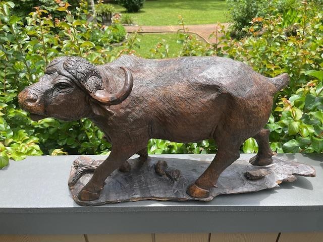 Huge Ironwood AFRICAN CAPE BUFFALO Carving: Beautiful, Huge Ironwood African CAPE BUFFALO Carving. It measures 25" Long x 8" Wide x 13.5" Tall and Weighs 24.5 lbs. This is great taxidermy decor. TAXIDERMY ART AND WILDLIFE SCULPTURES