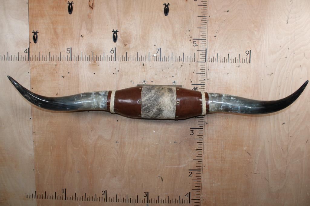 Big Set of Polished LONGHORNS with Cowhide and Leather Accents (1 of 4)