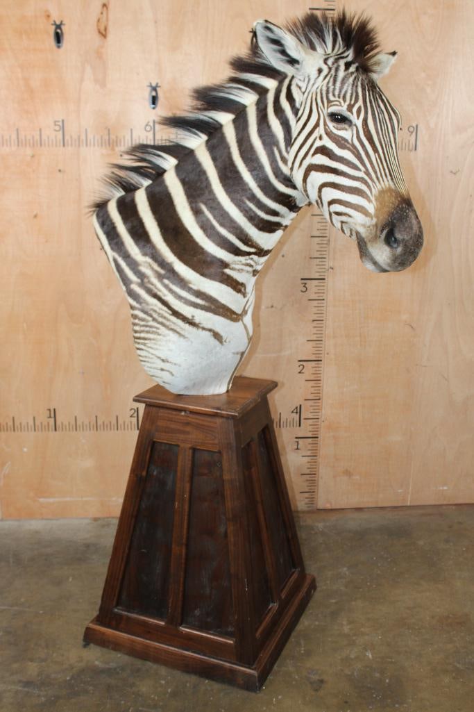 ZEBRA Pedestal Mount - 2
