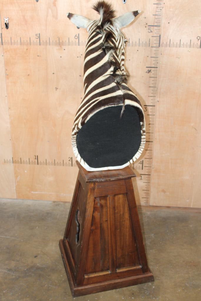 ZEBRA Pedestal Mount - 6