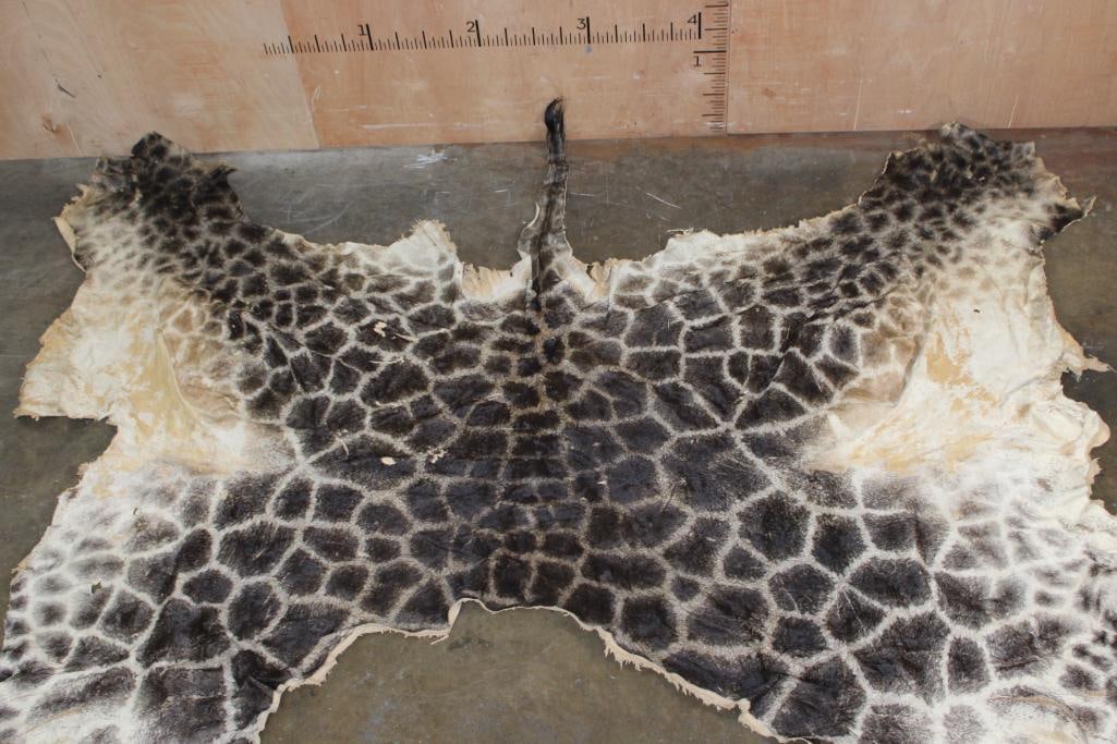 GIRAFFE Back and Leg Hide - 2
