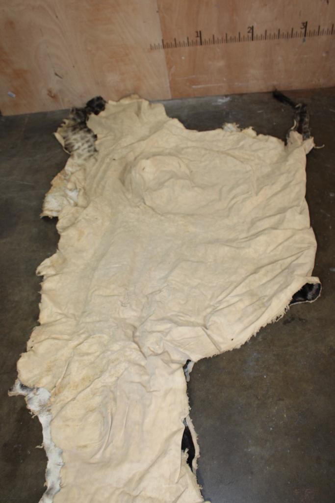 GIRAFFE Back and Leg Hide - 6