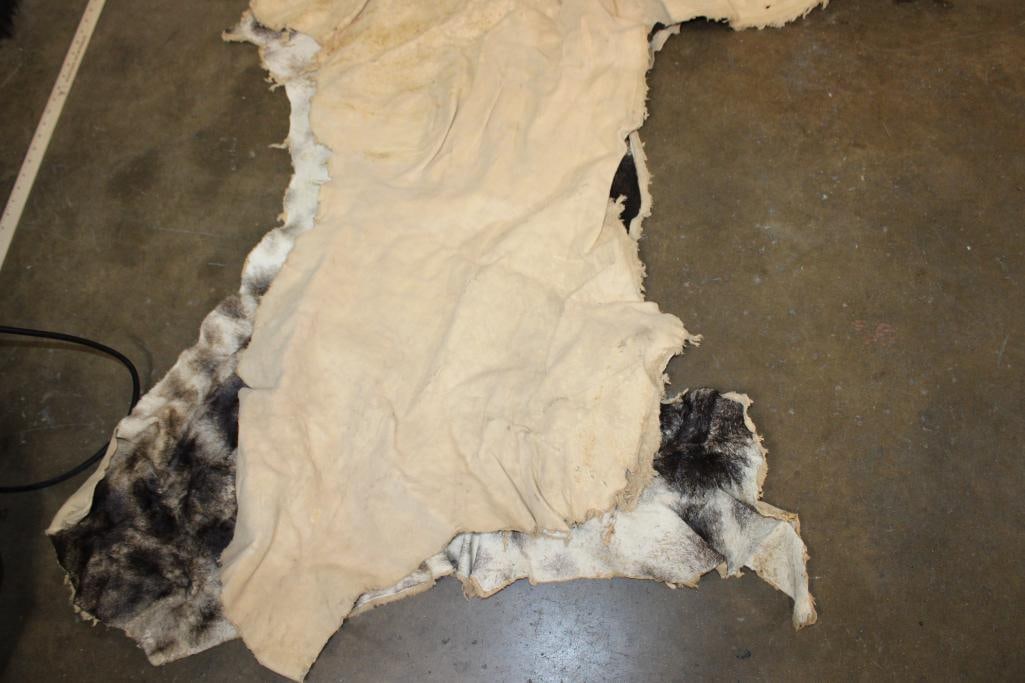 GIRAFFE Back and Leg Hide - 7