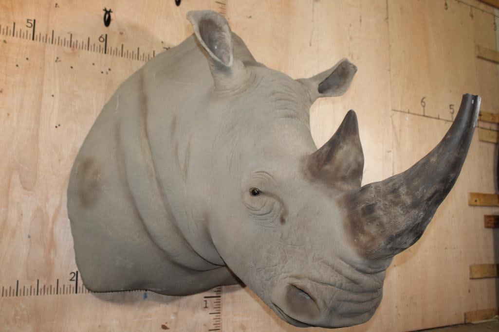 XXL Reproduction RHINOCEROS Shoulder Mount (1 of 10)