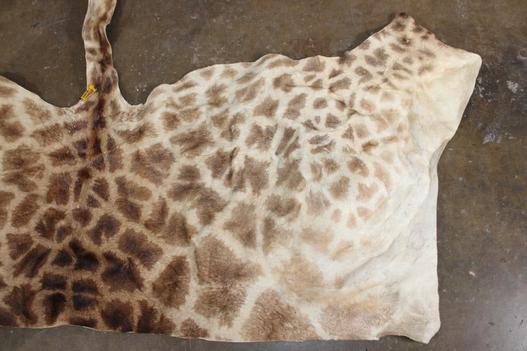 GIRAFFE Back Hide - 3