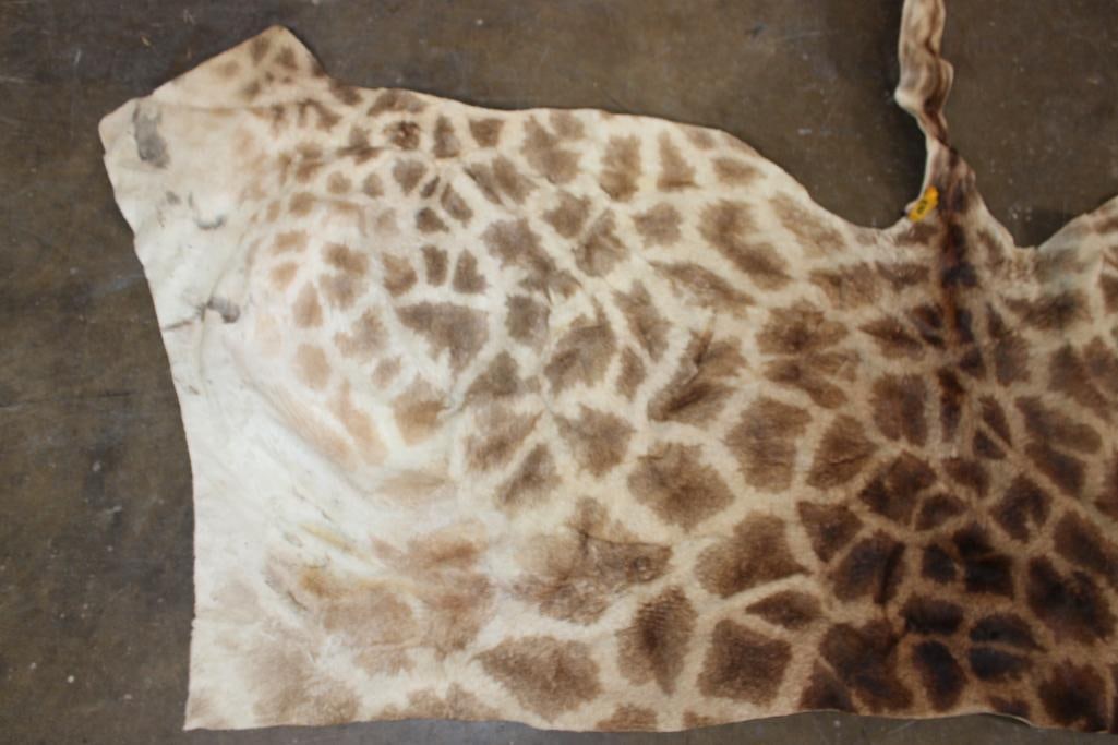 GIRAFFE Back Hide - 4