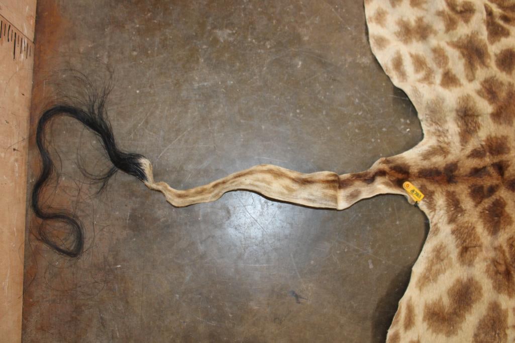 GIRAFFE Back Hide - 5