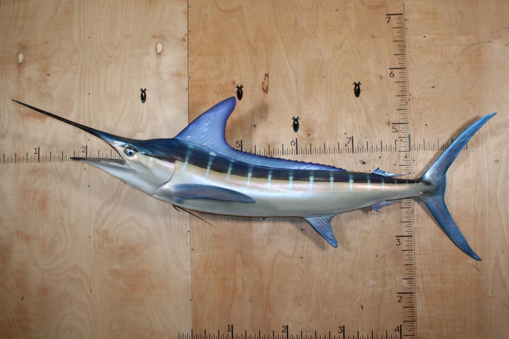 XXL Reproduction MARLIN Fish Mount (1 of 7)