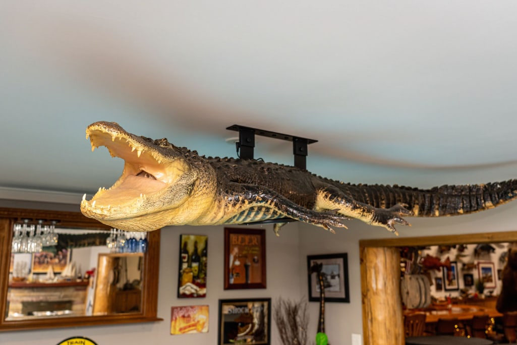 *Real Skin* XL ALLIGATOR Billiard Light (1 of 15)