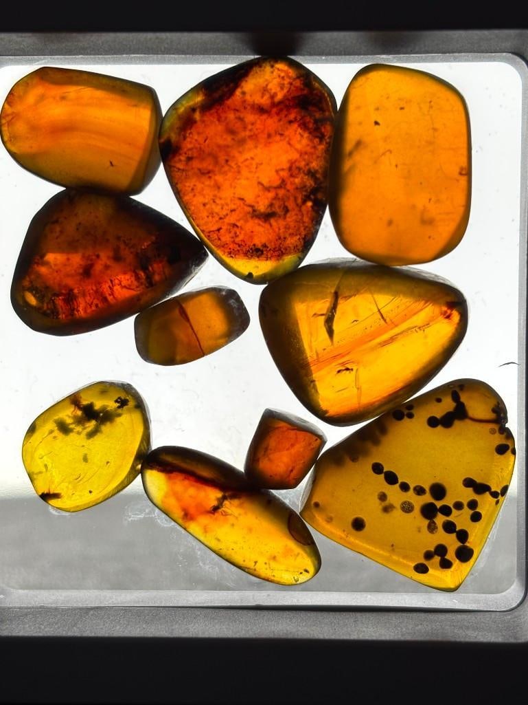10 Pieces of Authentic Myanmar AMBER Fossil Specimens with Insect Inclusions (1 of 6)