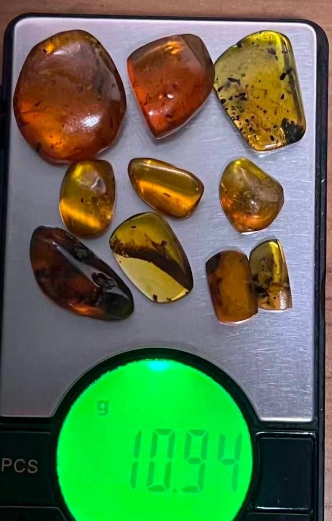 (10) Pieces of Authentic Myanmar AMBER Fossil Specimens with several species of Insects Inclusions - 2