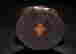 item-111809232=7