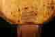 item-111818505=5
