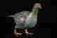 item-118506116=3