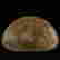 item-119675785=8