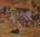 item-119811905=4