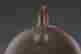 item-125109312=8