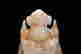 item-125110491=2