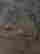 item-127185441=3