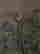 item-127185441=6