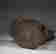 item-123797578=11