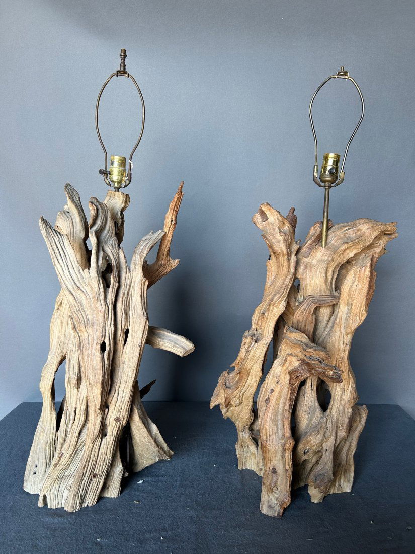Pair of modern root form lamps (1 of 4)
