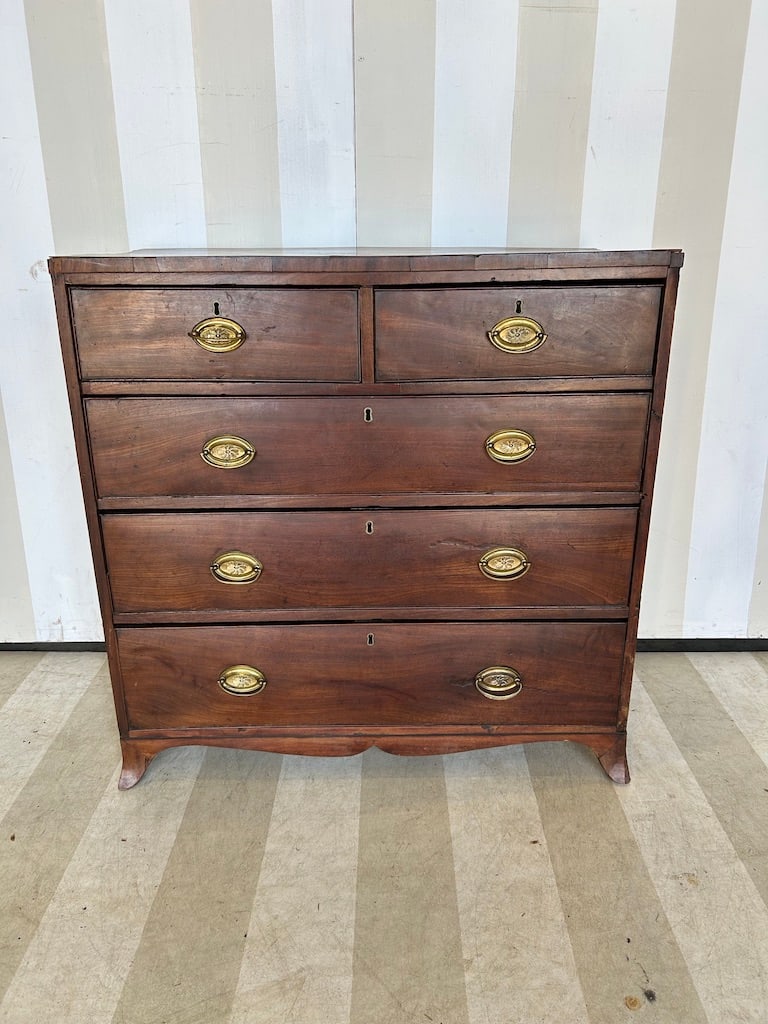 19th Century English Mahogany Bachelors Chest: 19th Century English Mahogany Bachelors Chest