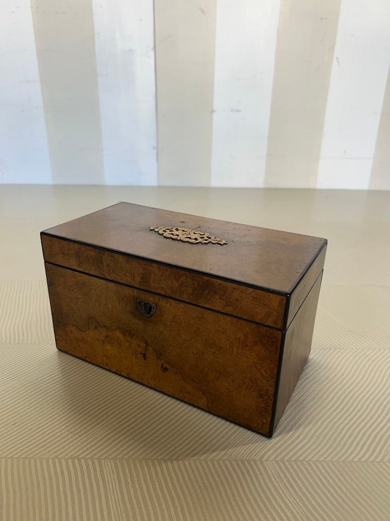 19th Century English Burl Tea Caddy (1 of 16)