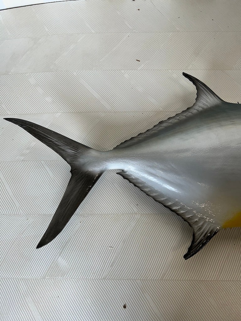 x - 4