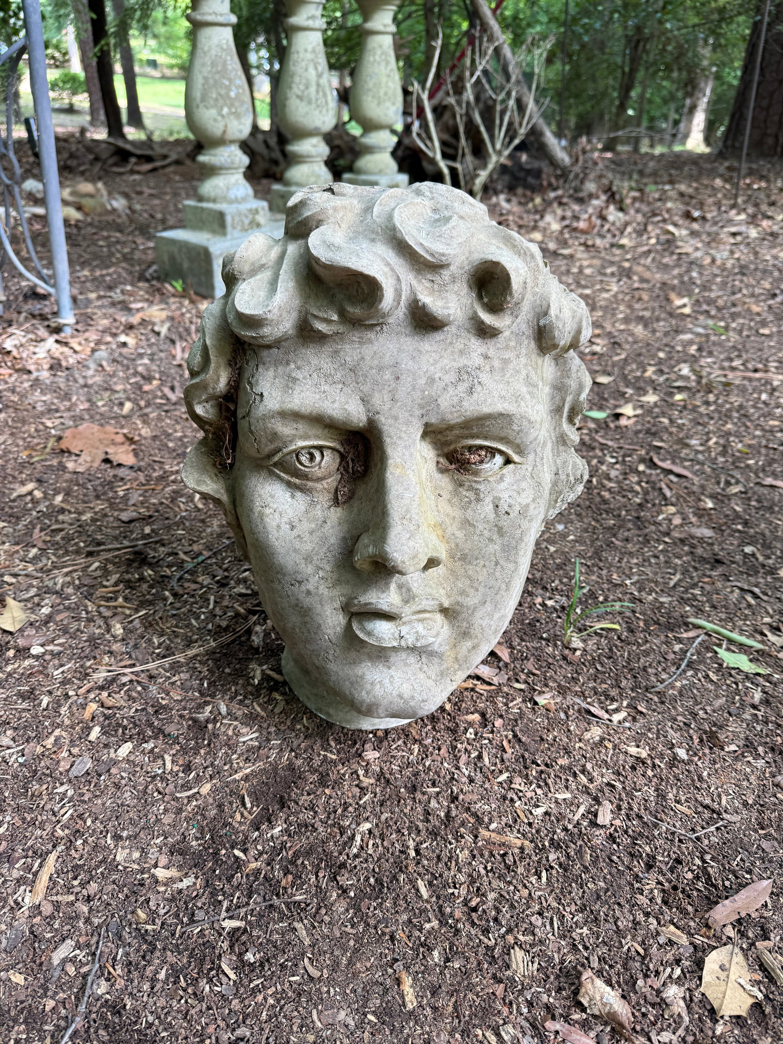Antique or Vintage Garden Bust: Antique or Vintage Garden Bust