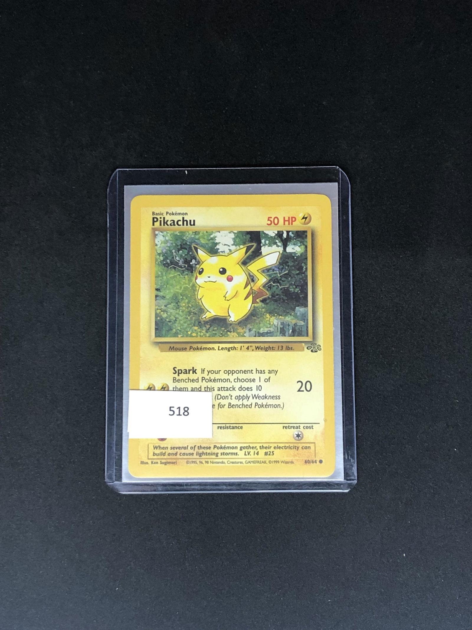 Jungle Pikachu Pokemon Card (1 of 1)