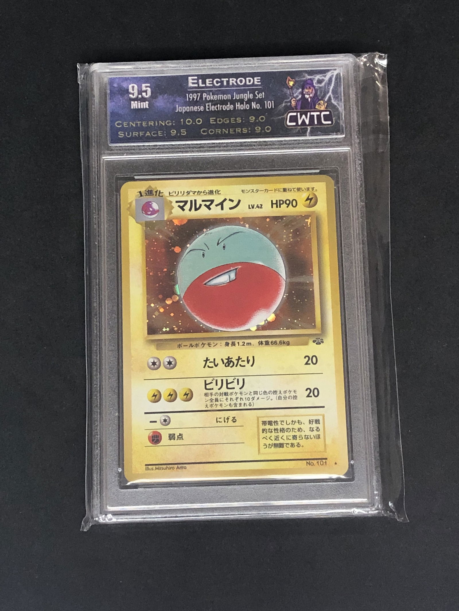 Electrode Holo Jungle Set CWTC 9.5 (1 of 1)