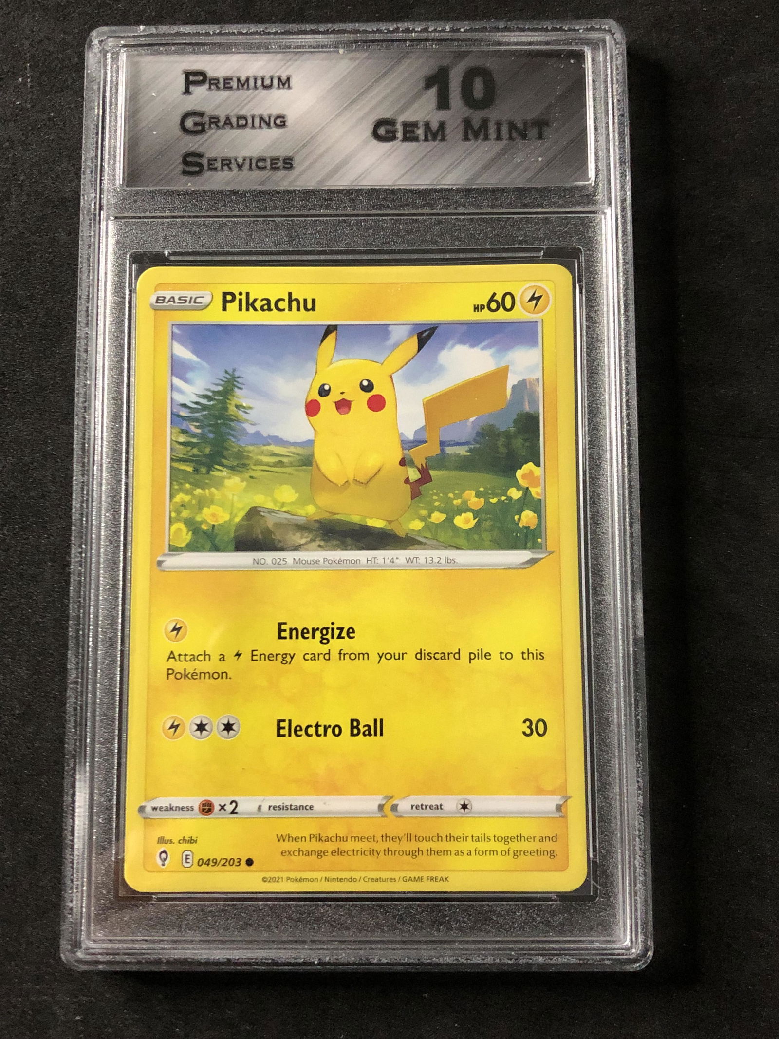 Pikachu PGS 10 (1 of 1)