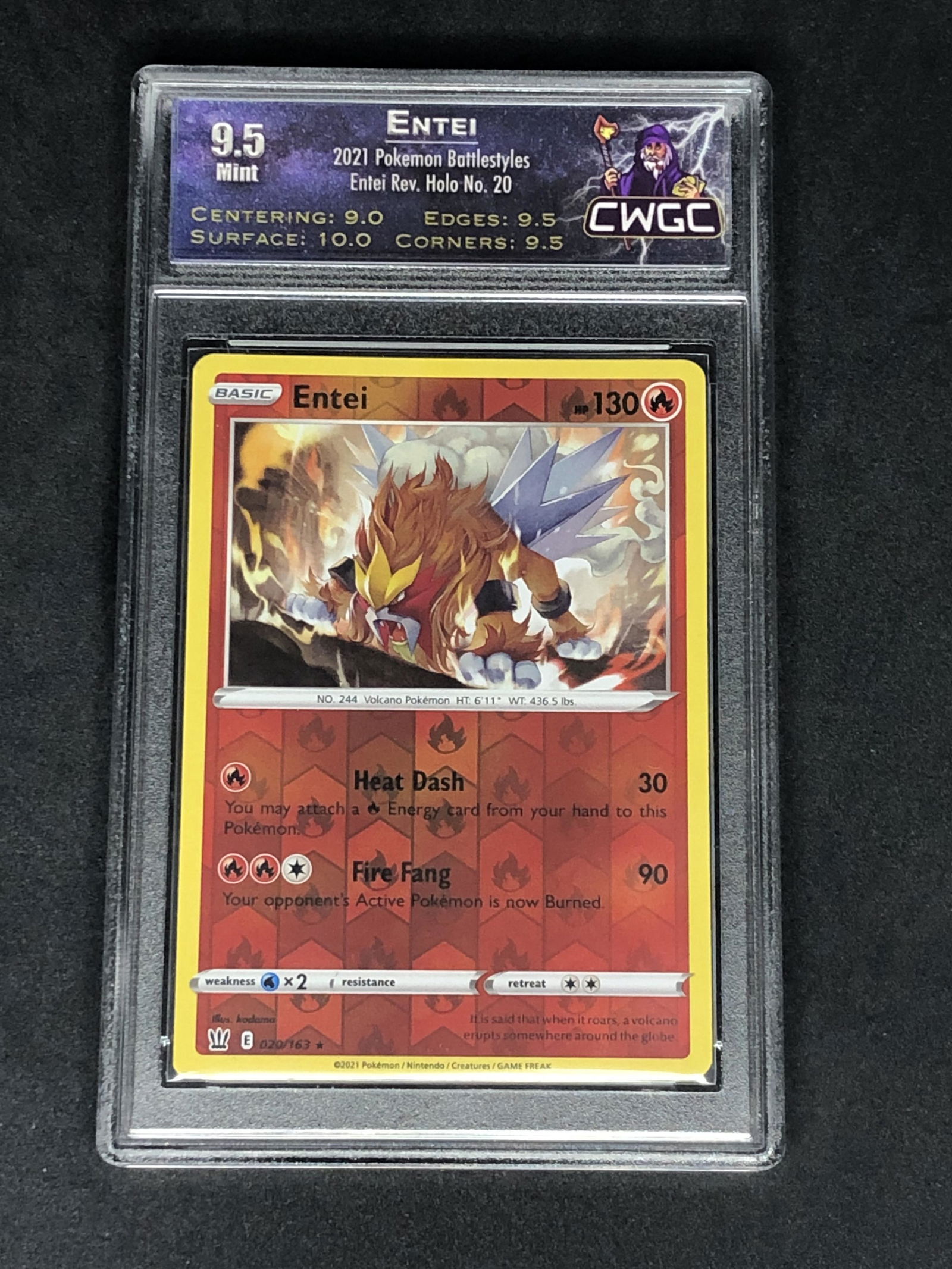 Entei Rev. Holo CWGC 9.5 (1 of 1)