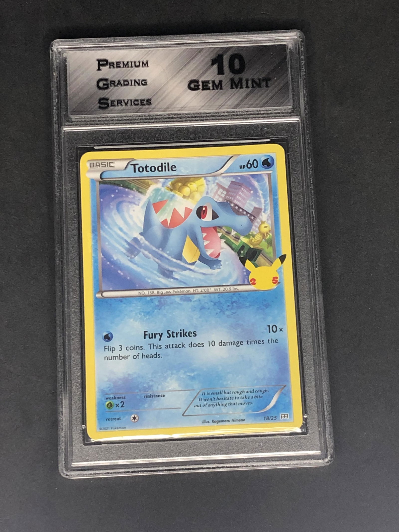 Totodile Pokemon Card 25th Ann. Graded PGS 10 (1 of 1)