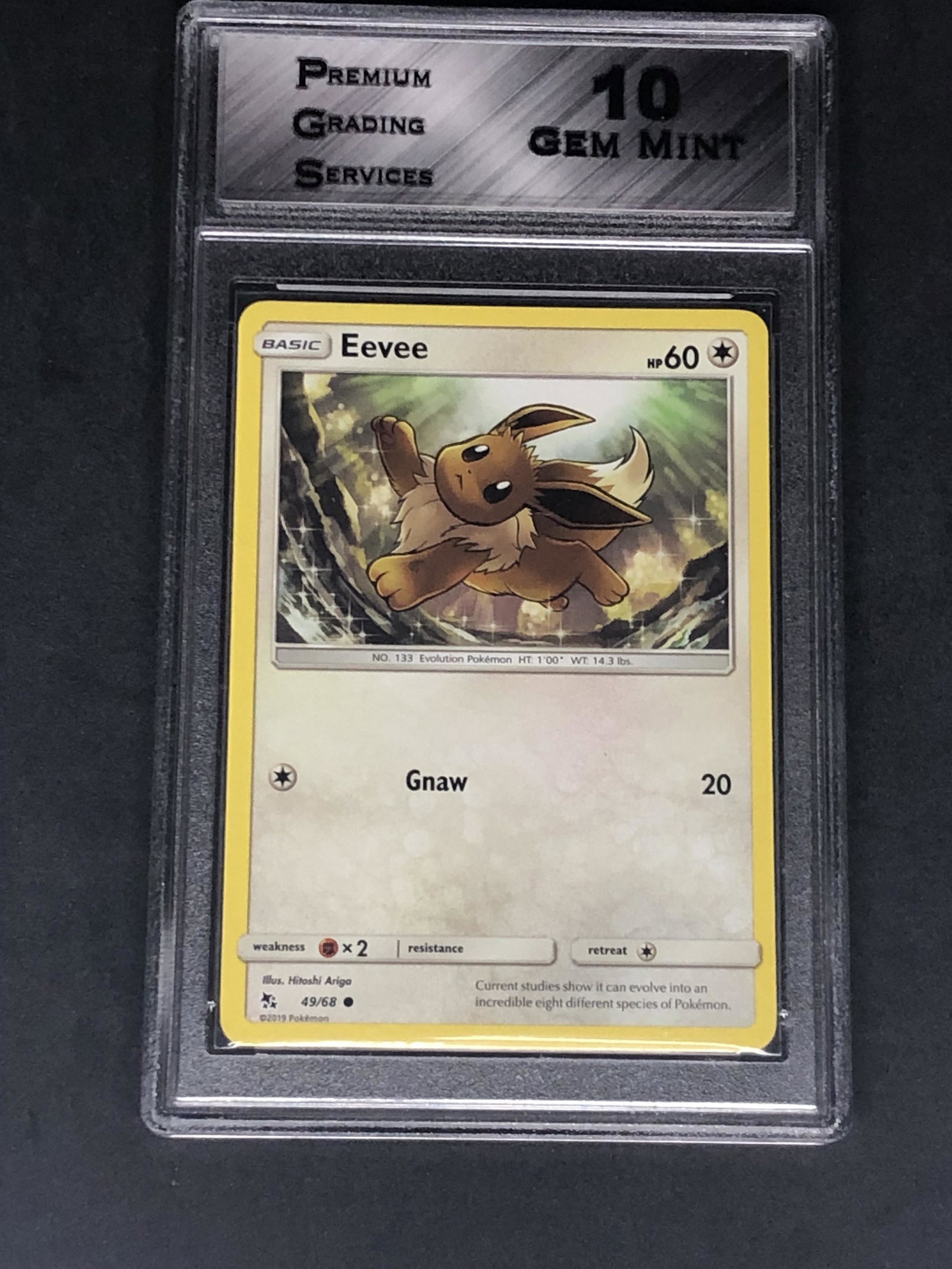 Eevee Graded PGS 10 (1 of 1)