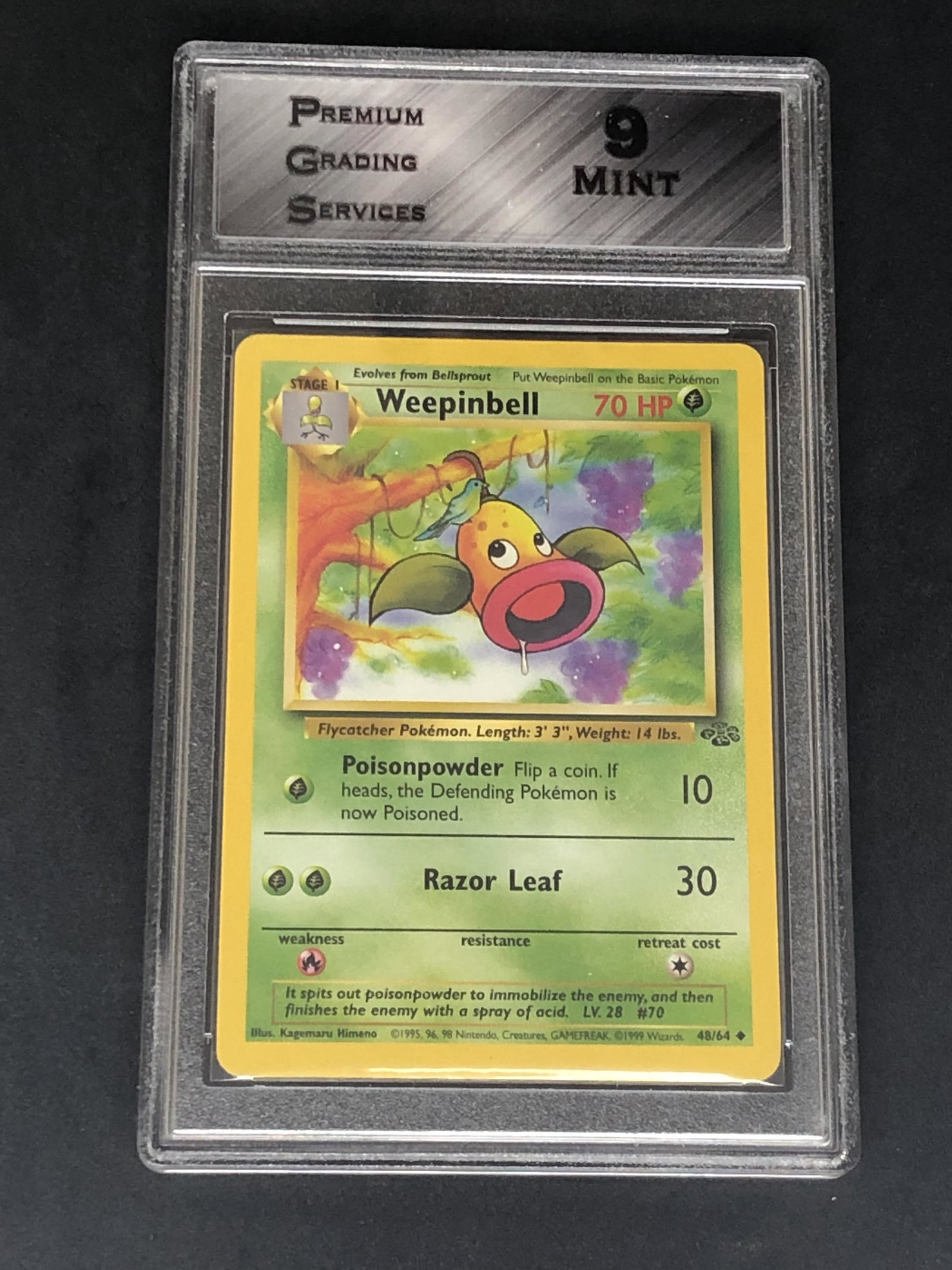 Jungle Set Weepinbell Graded PGS 9 (1 of 1)
