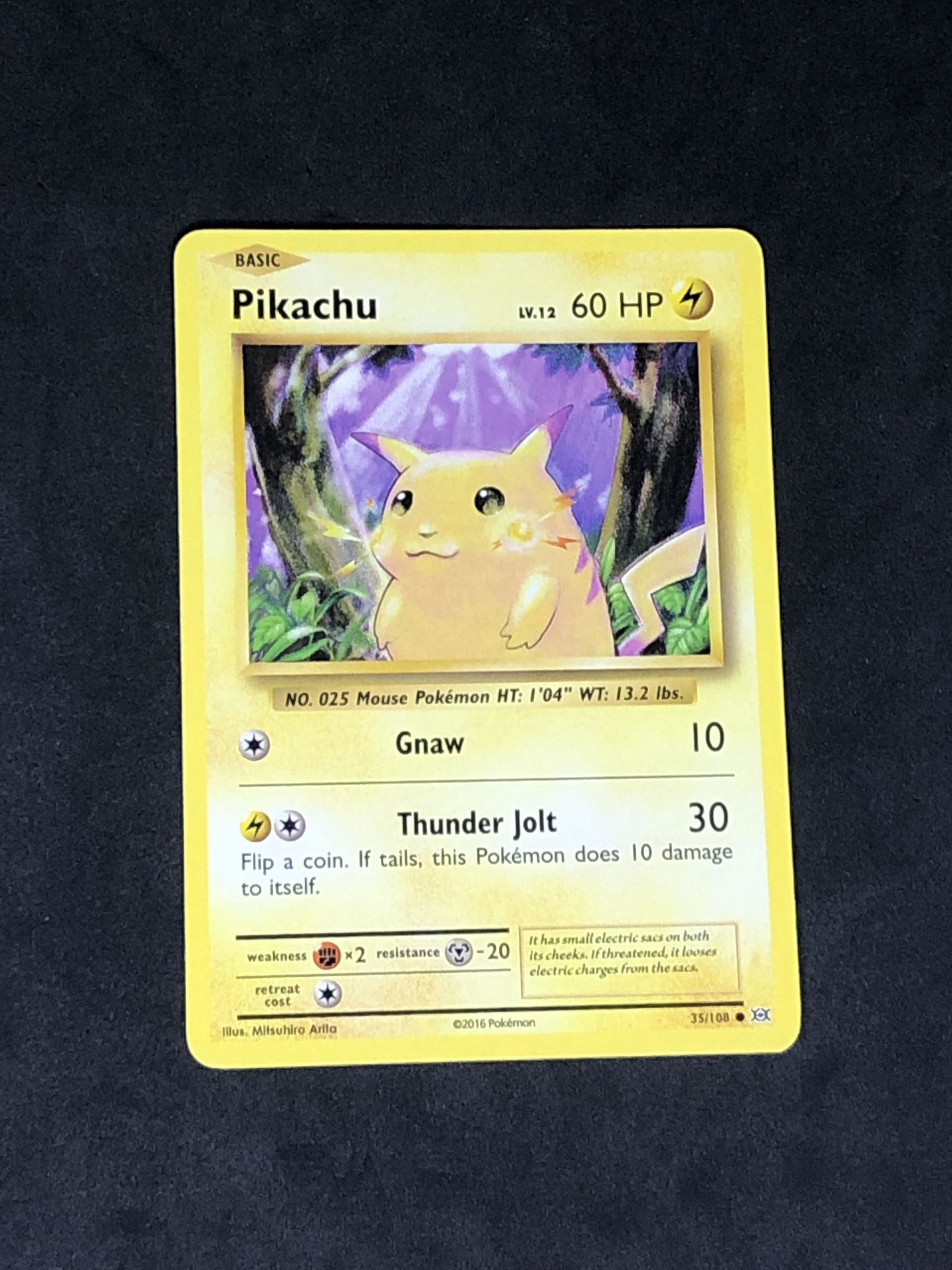 XY Evolutions Pikachu Pokemon Card (1 of 1)