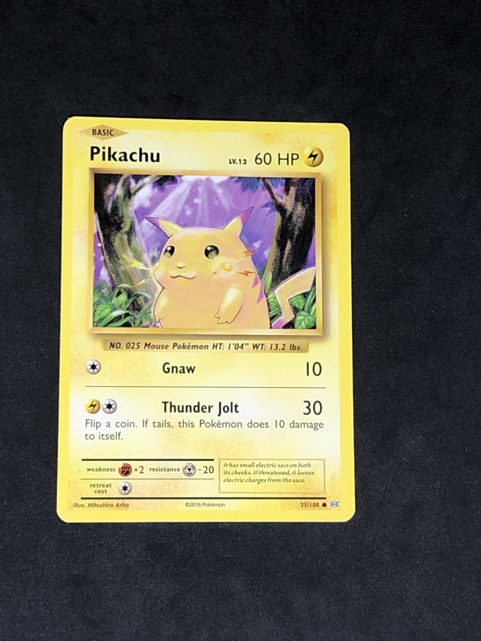 XY Evolutions Pikachu Pokemon Card (1 of 1)
