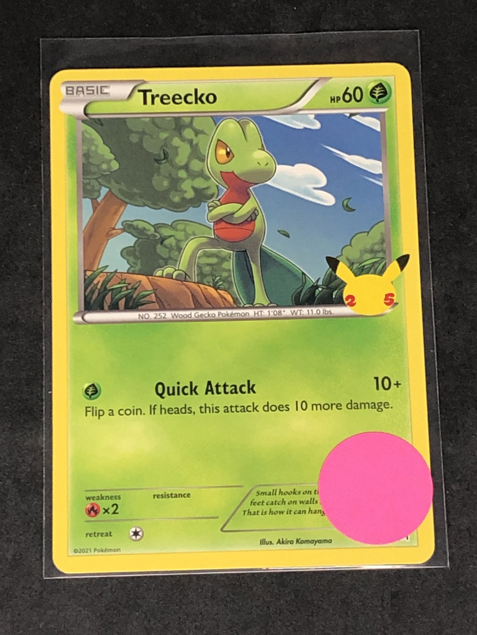Treecko 25th Ann. Pokemon Card (1 of 1)