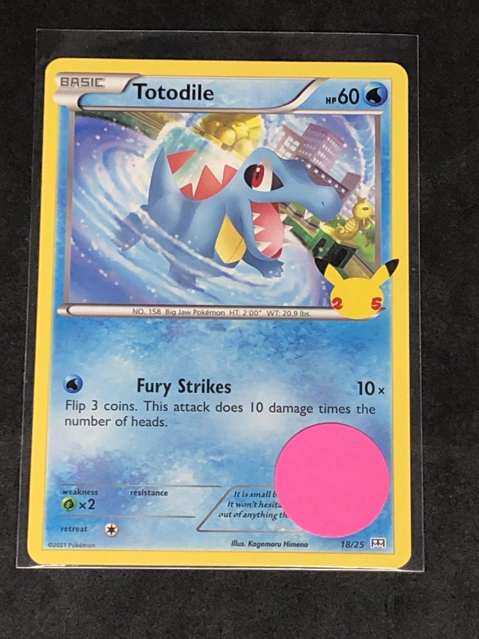 Totodile 25th Ann. Pokemon Card: Totodile 25th Ann. Pokemon Card