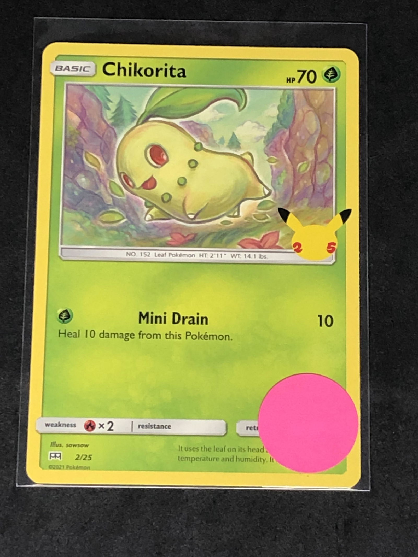 Chikorita 25th Ann. Pokemon Card (1 of 1)